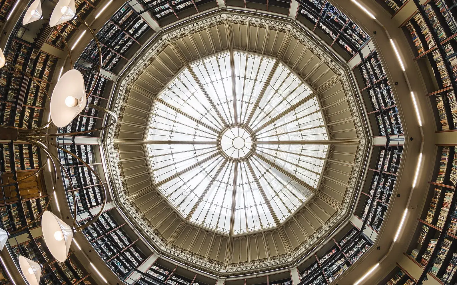 The domed ceiling of the Round Reading Room at the Maughan Library